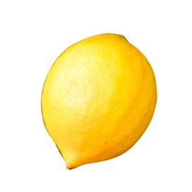 Mayer Limon